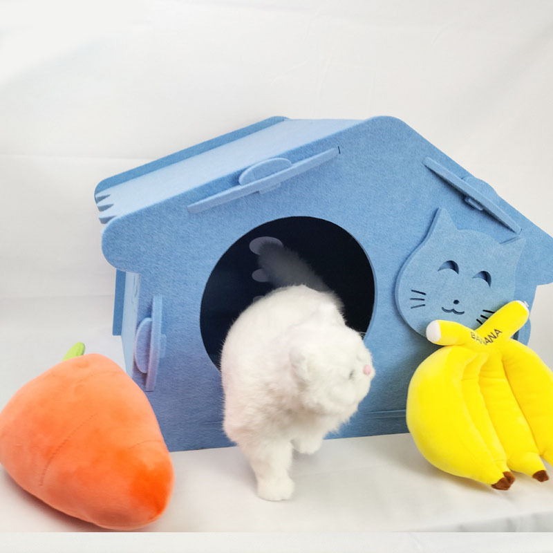 ʼ�@�����M����������r(sh��)���o����һ��(g��)����(w��n)�ļ���